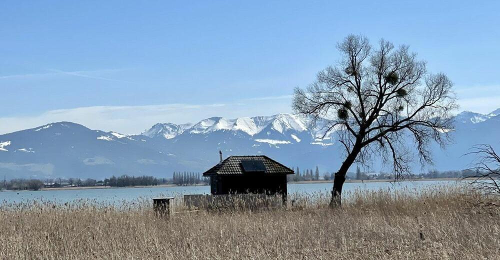 Bodensee Lakeside Retreat: Sauna, Nature, And Self-check-in Gaissau (Bregenz)