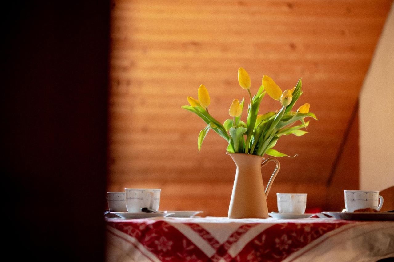 Bodensee Lakeside Retreat: Sauna, Nature, And Self-check-in Gaissau (Bregenz)